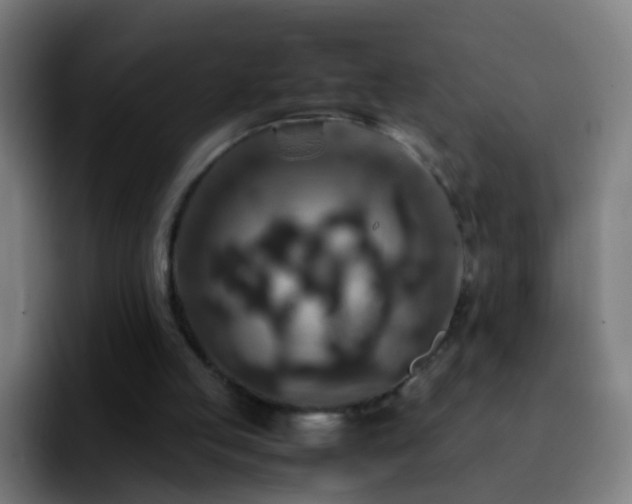 X0000092250053200709211108