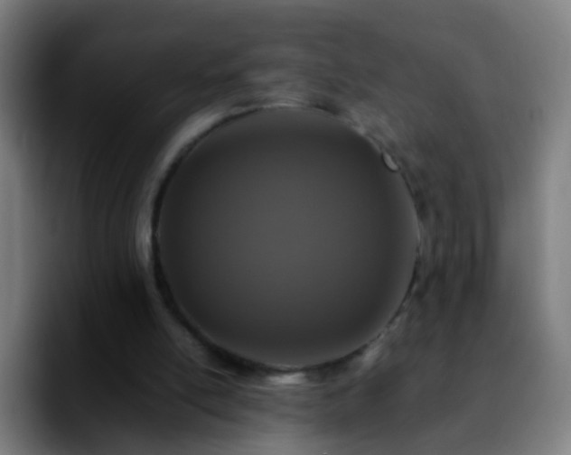 X0000092250054200709211108