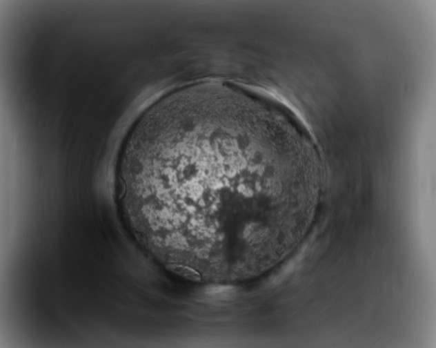 X0000092250055200709211108