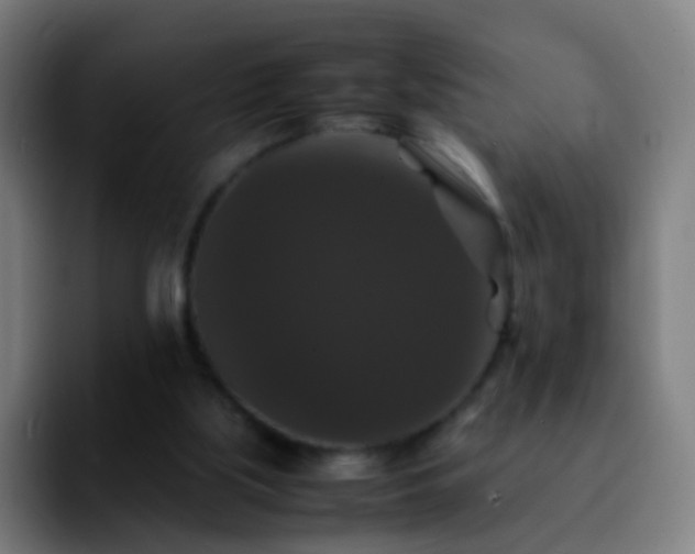 X0000092250059200709211109