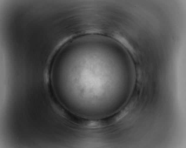 X0000092250060200709211109