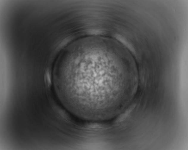 X0000092250062200709211109