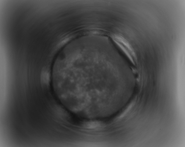 X0000092250063200709211109