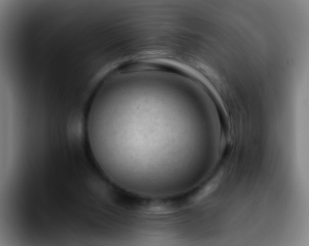 X0000092250064200709211109