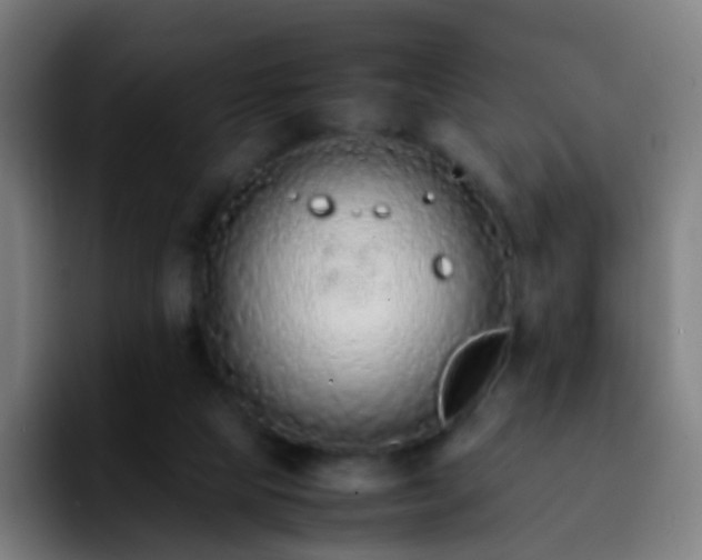 X0000092250065200709211109