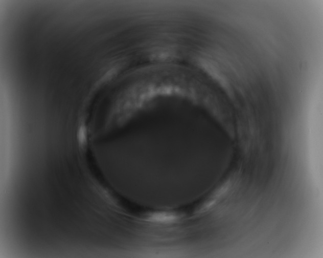 X0000092250067200709211109