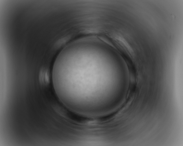 X0000092250068200709211109