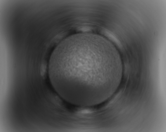 X0000092250073200709211109