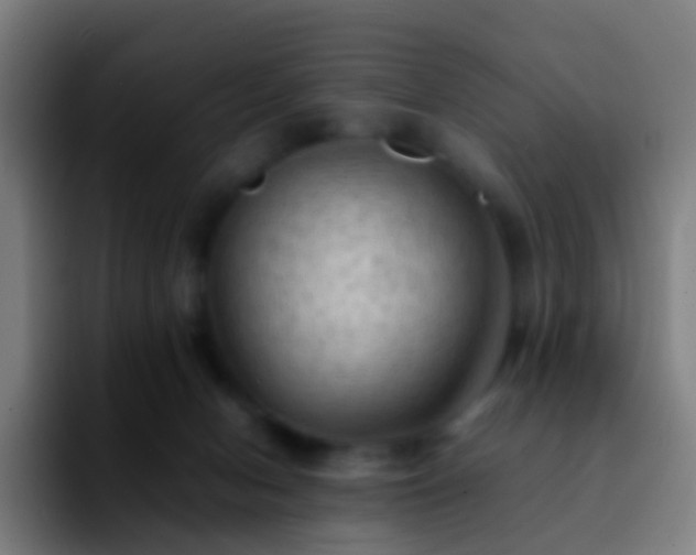 X0000092250078200709211109