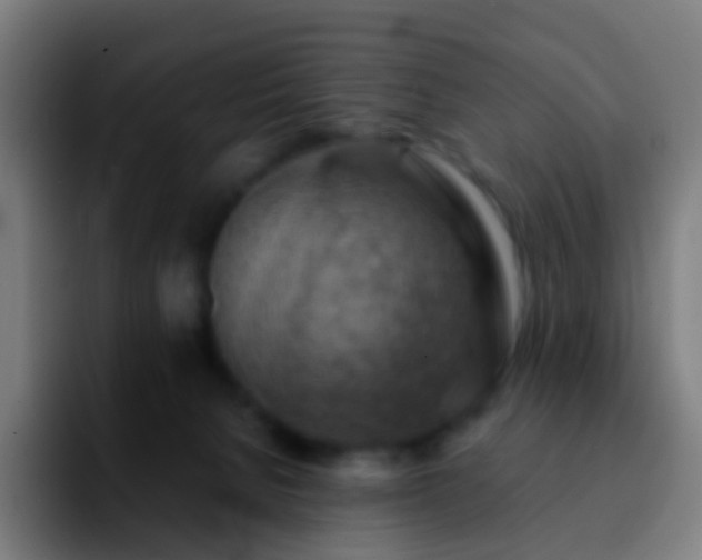 X0000092250080200709211109