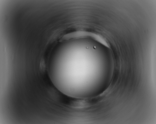 X0000092250086200709211109