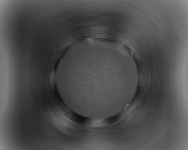 X0000092250093200709211109