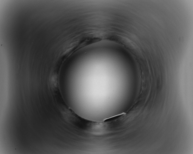 X0000092250096200709211109