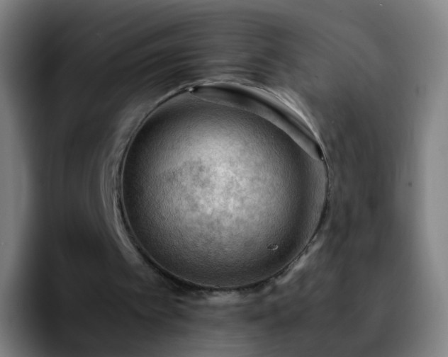 X0000092250097200709211108