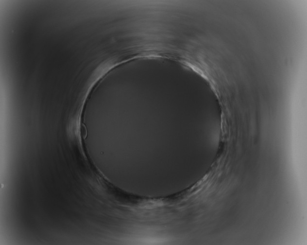 X0000092250099200709211108