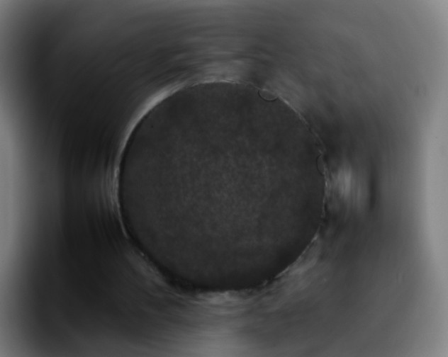 X0000092250100200709211108