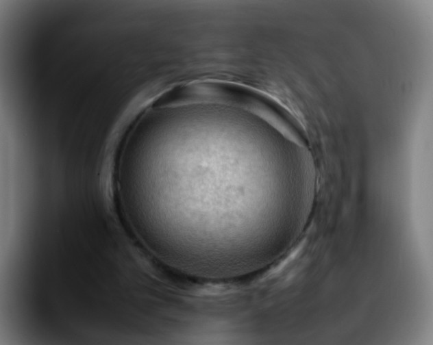 X0000092250101200709211108