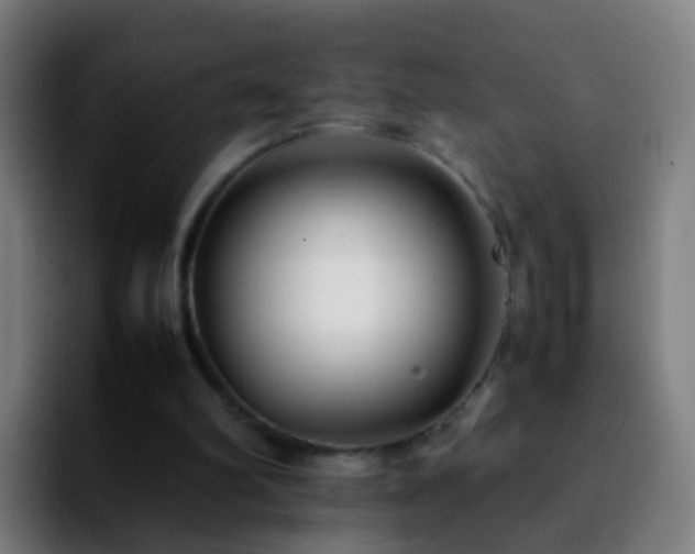 X0000092250102200709211108