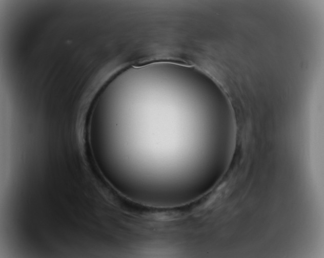 X0000092250103200709211108