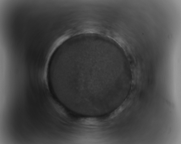 X0000092250104200709211108