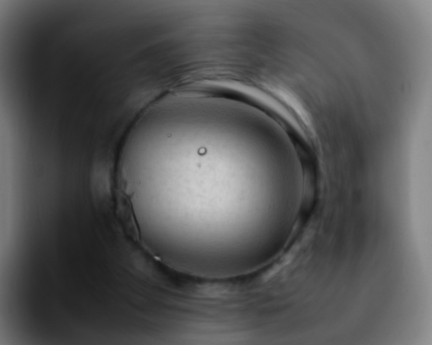 X0000092250105200709211108