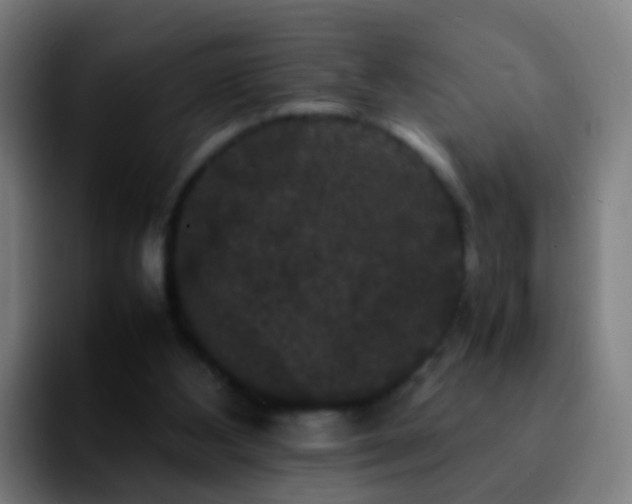 X0000092250108200709211108