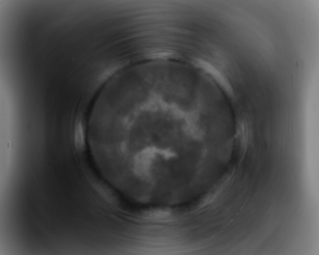 X0000092250110200709211108