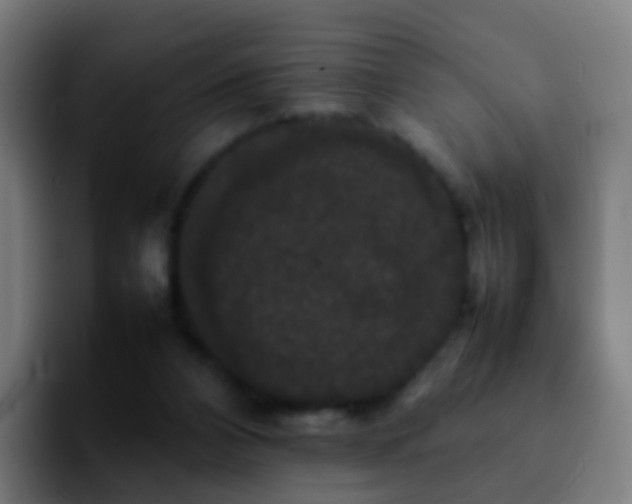 X0000092250112200709211108