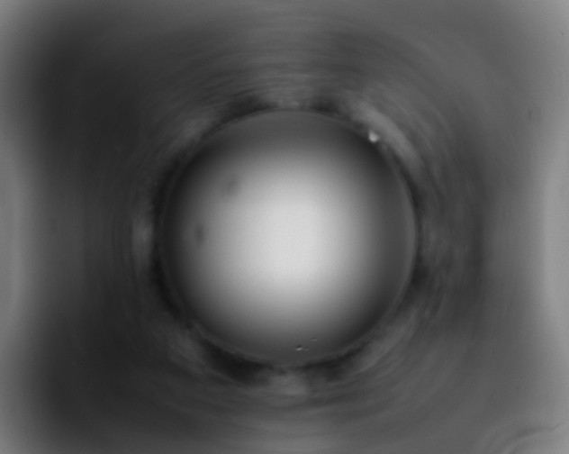 X0000092250113200709211108