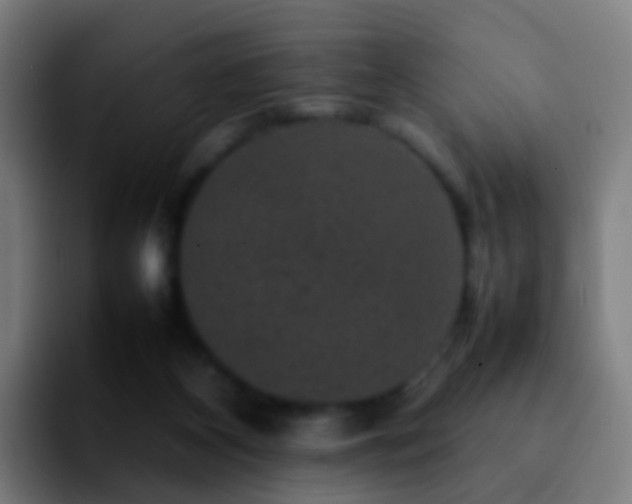 X0000092250116200709211108