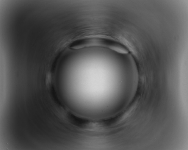 X0000092250117200709211108