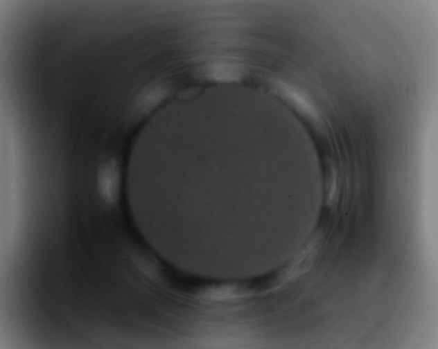 X0000092250120200709211108