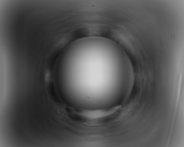 X0000092250123200709211108