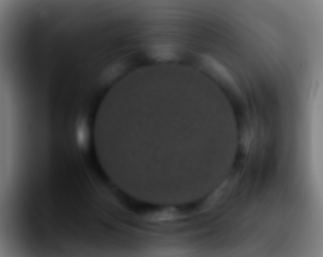 X0000092250124200709211108