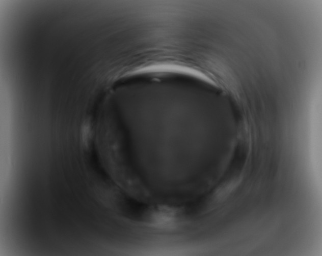 X0000092250127200709211108