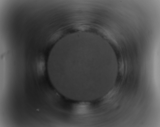 X0000092250128200709211108