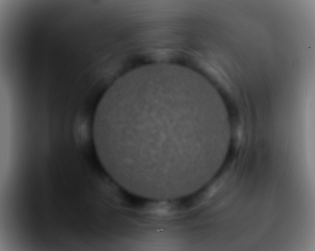 X0000092250131200709211108