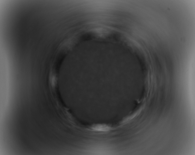 X0000092250137200709211108