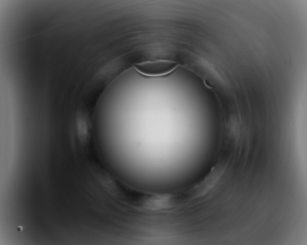 X0000092250138200709211108