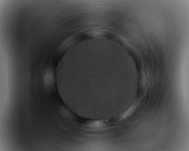 X0000092250140200709211108