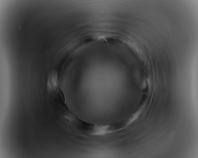 X0000092250143200709211108