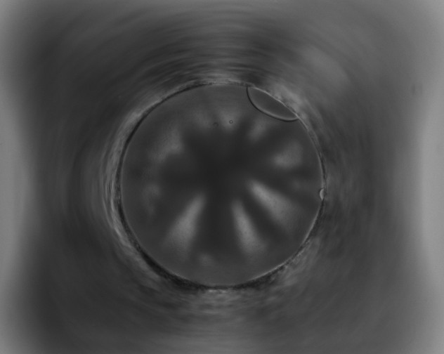 X0000092250145200709211107