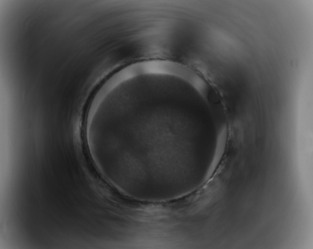 X0000092250146200709211107