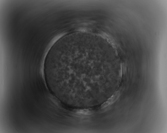 X0000092250147200709211107