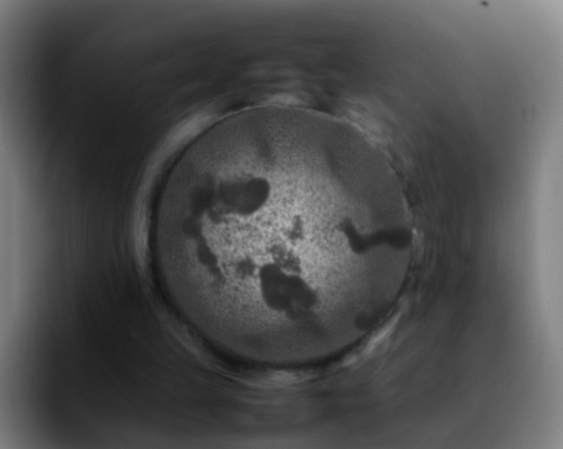 X0000092250149200709211107