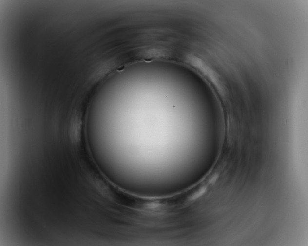 X0000092250153200709211107