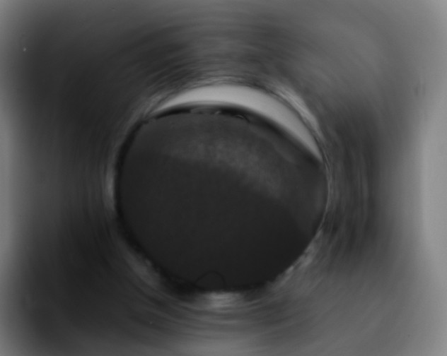 X0000092250154200709211107