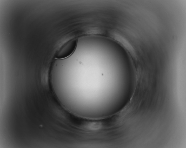 X0000092250155200709211107