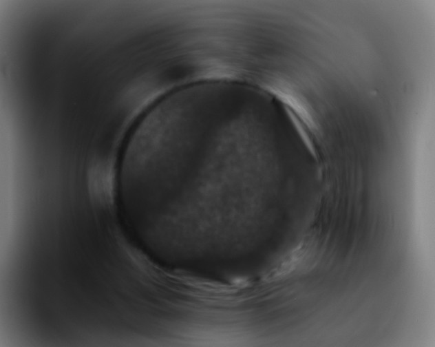 X0000092250156200709211107