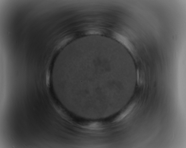 X0000092250157200709211107